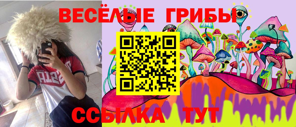 Галлюциногенные грибы GOLDEN TEACHER  Вход с VPN  Волжский 